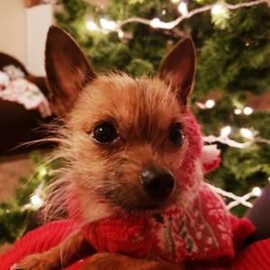 Meet your Posher, Kaylea